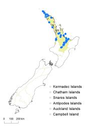 Cyclosorus interruptus distribution map based on databased records at AK, CHR and WELT. 
 Image: K. Boardman © Landcare Research 2015 CC BY 3.0 NZ